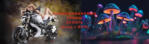 ешки Абаза