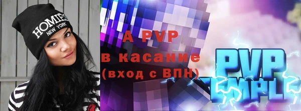 гашик Дмитров