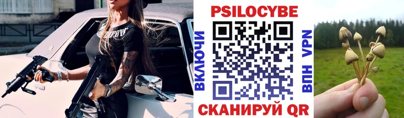 shop состав Берёзовка Псилоцибиновые грибы мицелий