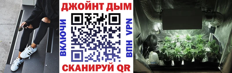 Бошки Шишки ГИДРОПОН  Берёзовка 